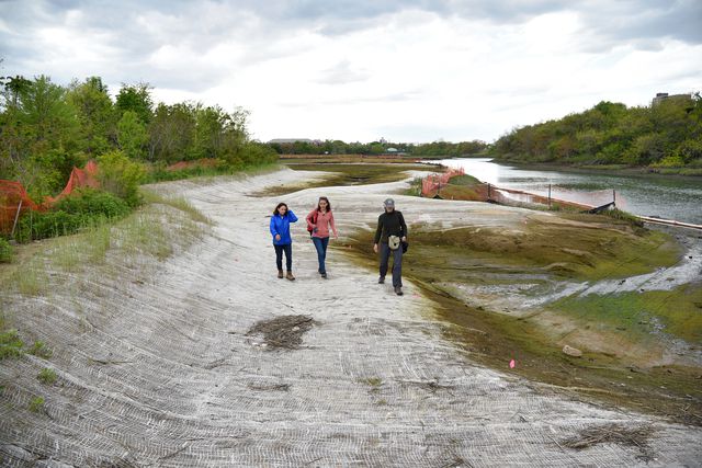 Three authors of the wetlands report, visiting a restoration on Fresh Creek, an inlet on the north side of Jamaica Bay. May 11th, 2021